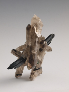 Aegirine Cluster with Smoky Quartz